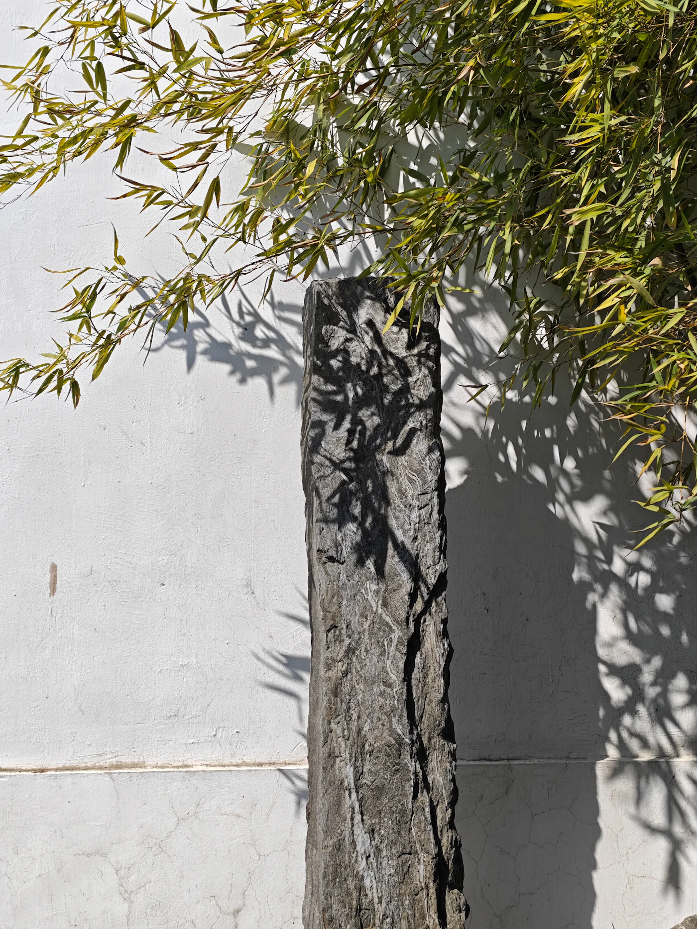 Courtyard wall
