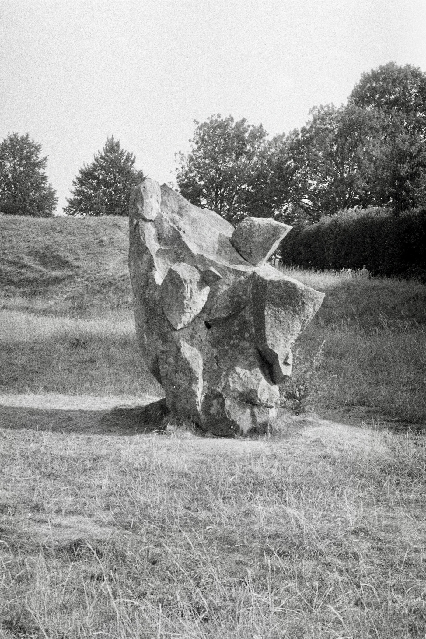 Sculpture garden